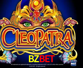 BZBET Curitiba - Live Status